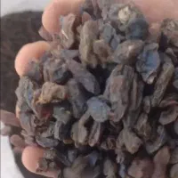 کشمش افغان تمیز پاک شده