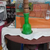 سلام قلیان نوسالم