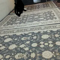 روفرشی کشدار