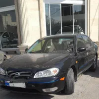 نقاشی و صافکاری