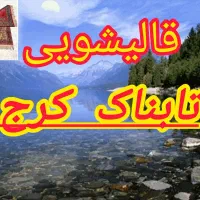 کارخانه قالیشویی تابناک در  دشت بهشت متری ۵۵.۰۰۰ ت