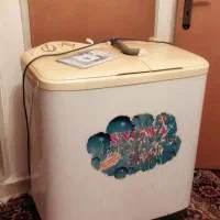 فروش ماشین لباسشویی اسنوا دوقلو