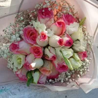 رز هلندی با کیفیت