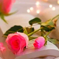 مناجات قران