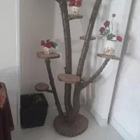 استند گل