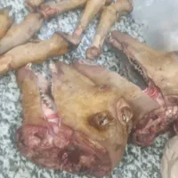 کلگ  باکله پاچه شسته اماده
