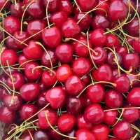 اجاره-مغازه