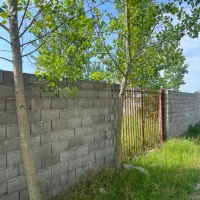 ۳۰۰ متر باغ مرکبات نزدیک کناره ساحلی اقساط بیبهره