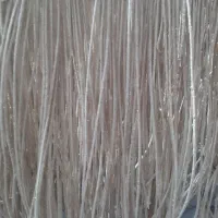 رشته آش