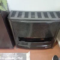 بخاری در حد