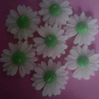 شمع گل بابونه