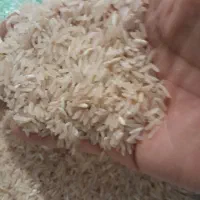 فروش برنج محلی درجه ۱