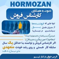 استخدام فروشنده و بازاریاب حرفه‌ای درهلدینگ هرمزان