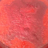 رب خانگی کیلویی ۳۹۰