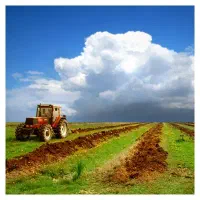 زمین زراعی روستای هاسون بزرگ