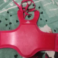هوگو