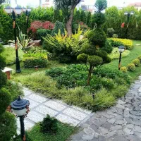 فروش زمین 325 متر در محدوده سیاهرود شهرکی