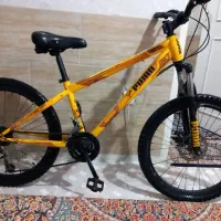 دوچرخه حرفه ای