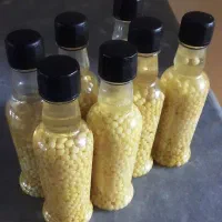 تخم حلزون تازه