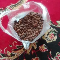 بادام شور کیلو ۵۵۰هزار تومان