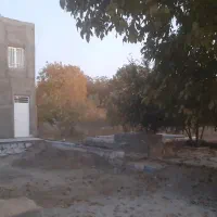 فال سر کتاب