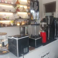 نیرو کار خانم جهت فعلیت در کافه