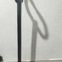 چرخونک