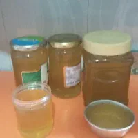 فروش زنبور کارنیکا