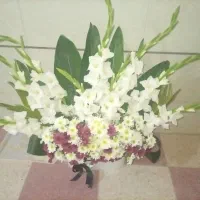 گل رایگان