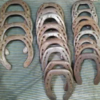 نعل کارکرده و پاخورده