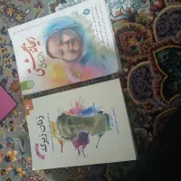 در حد نو
