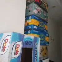 کارتن موزبرای اسباب کشی