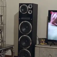 اسپیکر میکروب لب نو نو