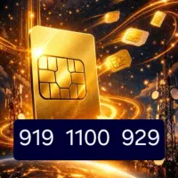 0919.1100929 کد ۱۰۰ و ۱۱۰۰