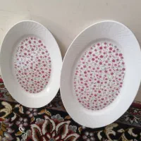 ظروف غذا خوری