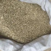 کتان دون قناری