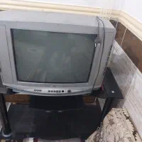 تلوزیون