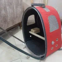 کیف پرنده