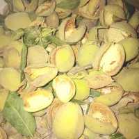پوست بادام