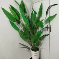 درختچه مصنوعی