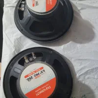 باند میدرنج ۶ اصل