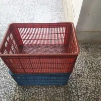 سبد 20کیلویی گوجه و انگور با کیفیت بالا
