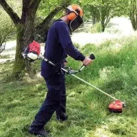علف زنی،تیف زنی،هرس باغ،درخت بری