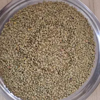 عدس ارگانیک یک دست امسال