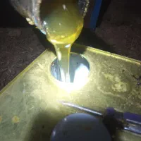 عسل تغذیه زنبور عسل