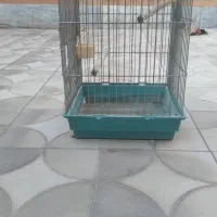 قفس پرنده