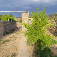 باغ ۹۰۰ متری در چنارستان دستگرد