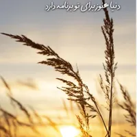 کارت ملی گم شده کسی پیدا کرد مژدگانی خوب