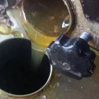 عسل گشنیز