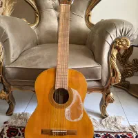 گیتار حرفه ای